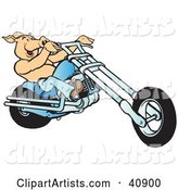 Happy Shirtless Hog Riding a Blue Chopper
