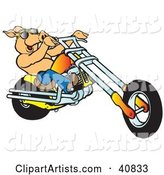 Happy Shirtless Pig in Sunglasses, Riding an Orange Chopper