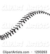 Horizontal Black and White Baseball Stitching