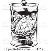 Human Brain and Bubbles Floating in a Specimen Jar in a Research Laboratory