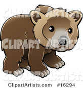 Kodiak Bear (Ursus Arctos Middendorffi), Brown Bear (Ursus Arctos), or Grizzly Bear (Ursus Arctos Horribilis) Cub Looking Outwards