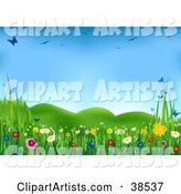 Lush Green Spring Meadow with Colorful Wild Flowers and Butterflies Under a Blue Sky