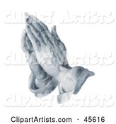 Man's Hands Held Together in Prayer