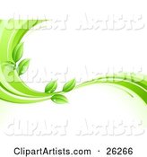 Organic Background of Green Leaves Wet with Dew Drops on a Green and White Wave, over White