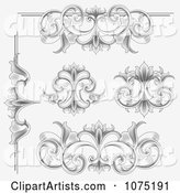 Ornate Etched Victorian Flourish Borders Rules and Design Elements