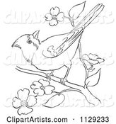 Outlined Cardinal Bird on a Blossom Branch