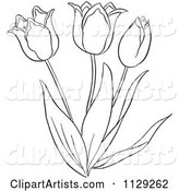 Outlined Tulip Flower Plant
