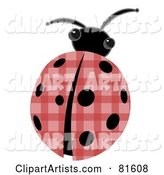 Patchwork Ladybug with Black Spots