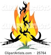 Phoenix Bird Rising from Red and Orange Flames