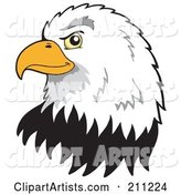 Profiled American Bald Eagle Face
