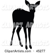 Profiled Black Doe Silhouette