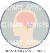 Profiled Human Head and Brain in a Circle