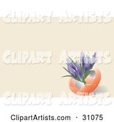 Purple Crocus Flowers Growing Inside an Orange Egg Shell, on a Pastel Orange Background