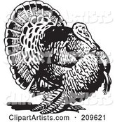 Retro Black and White Thanksgiving Turkey Bird