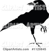Retro Vintage Black and White Crow 2