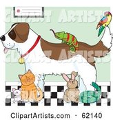 Saint Bernard Dog, Chameleon, Parrot, Mouse, Cat, Rabbit and Snake in a Veterinary Clinic