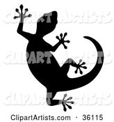 Silhouetted Curved Gecko