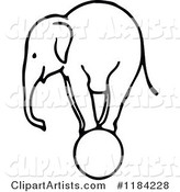 Sketched Black and White Elephant on a Ball