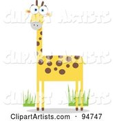 Square Bodied Wild Giraffe