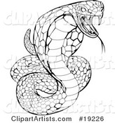 Striking Venomous Cobra Snake