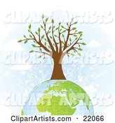 Strong and Healthy Tree with White Flowers Growing on Top of the Earth