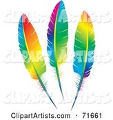 Three Rainbow Colored Feathers