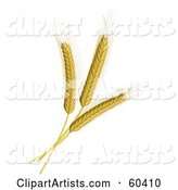 Three Wheat Stalks