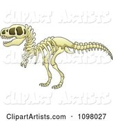 Tyrannosaurus Rex Dinosaur Skeleton