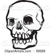 White Human Skull with Dark Eye Sockets