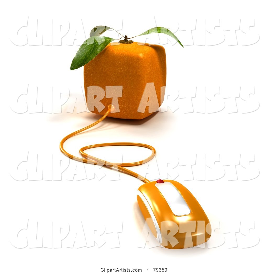 Cubic Genetically Modified Orange Fruit with a Computer Mouse
