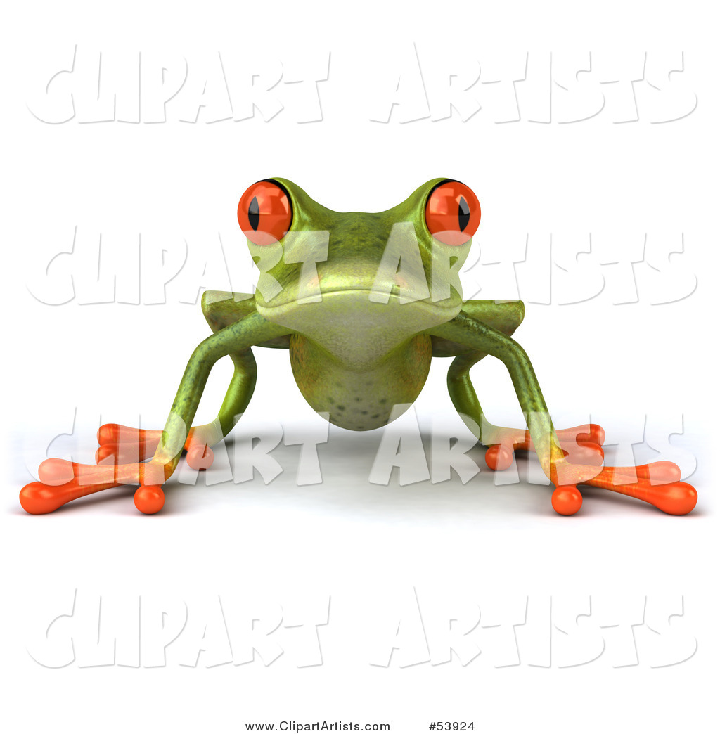 Cute Green Tree Frog Resting on All Fours and Facing Front