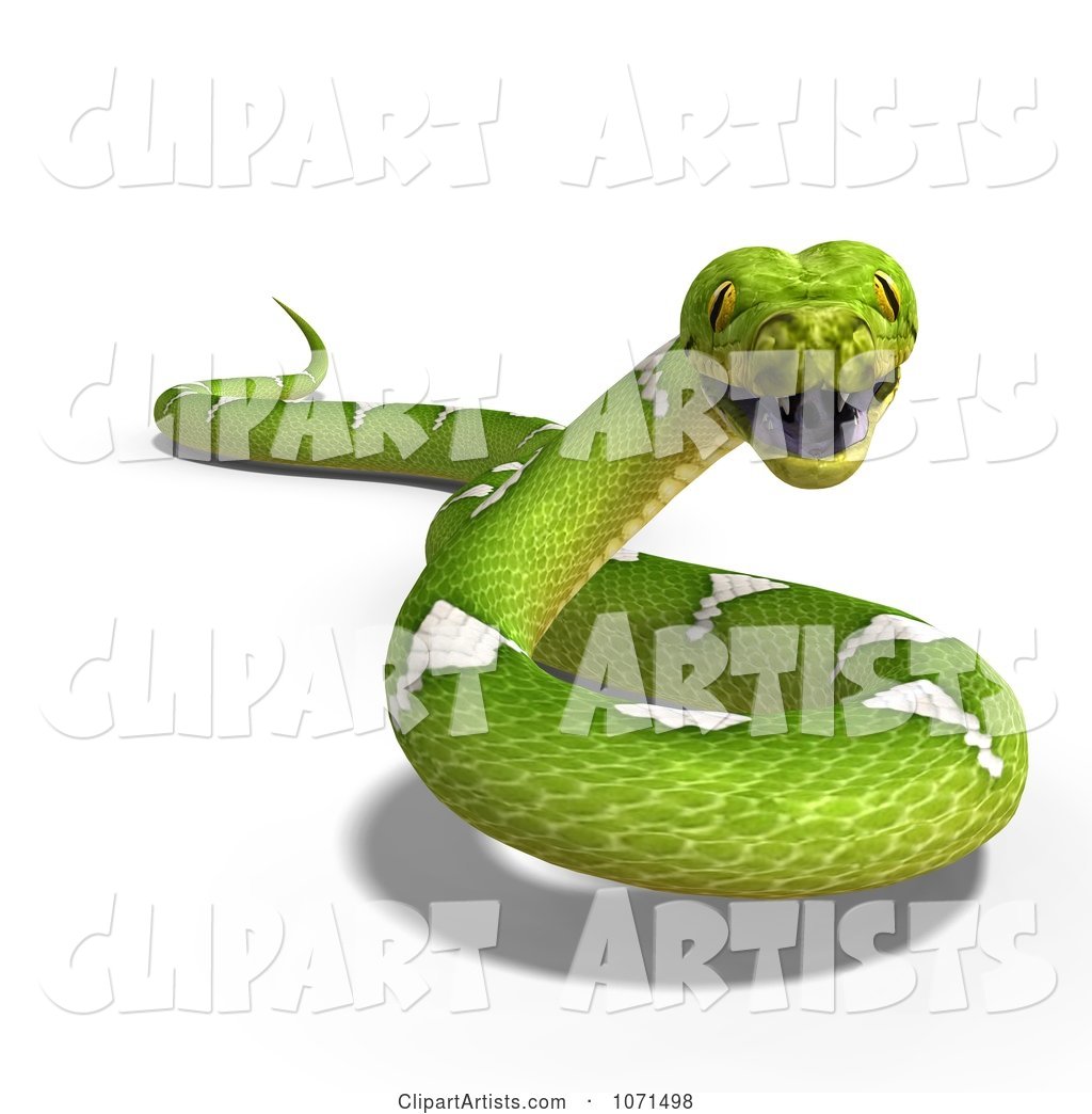 Green Python Snake 1