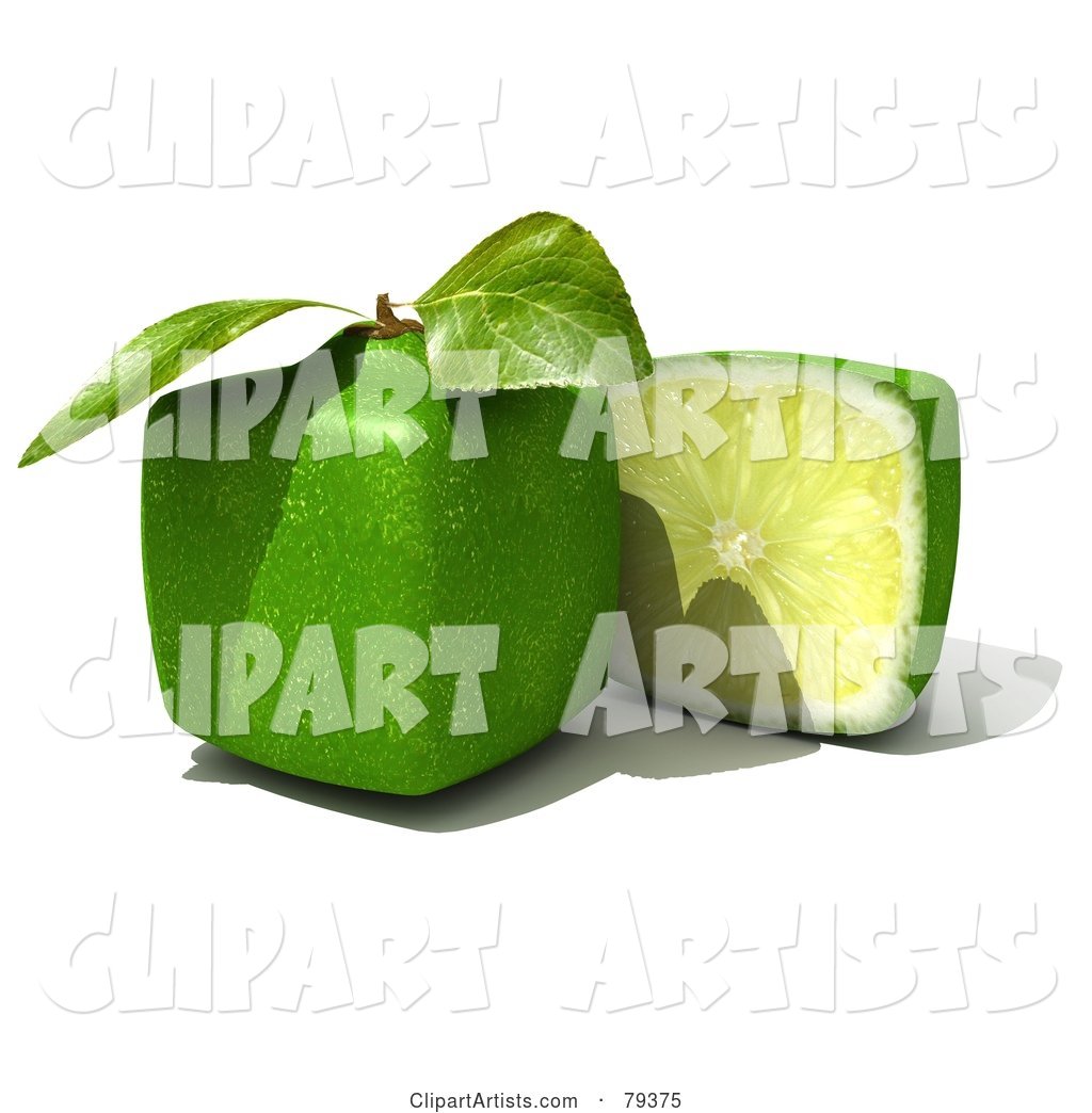 Half Cubic Genetically Modified Lime by a Whole Lime
