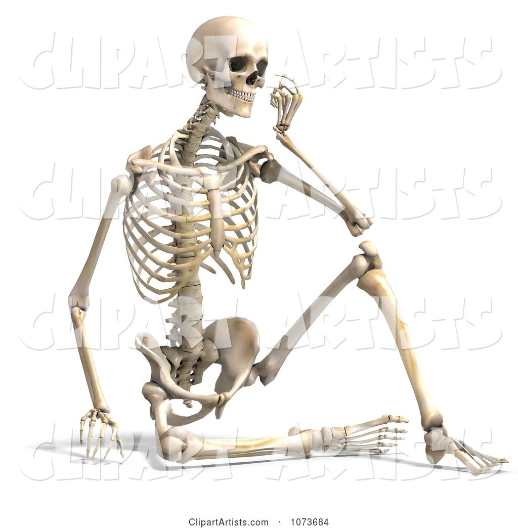 Human Male Skeleton Sitting and Thinking