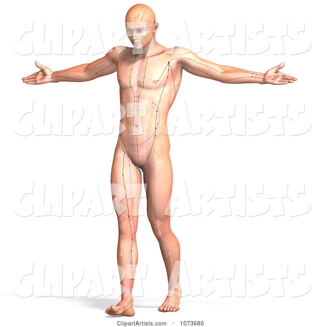 Male Acupressure Acupuncture Chart Body 3