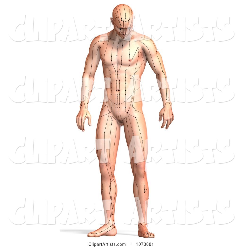 Male Acupressure Acupuncture Chart Body 4