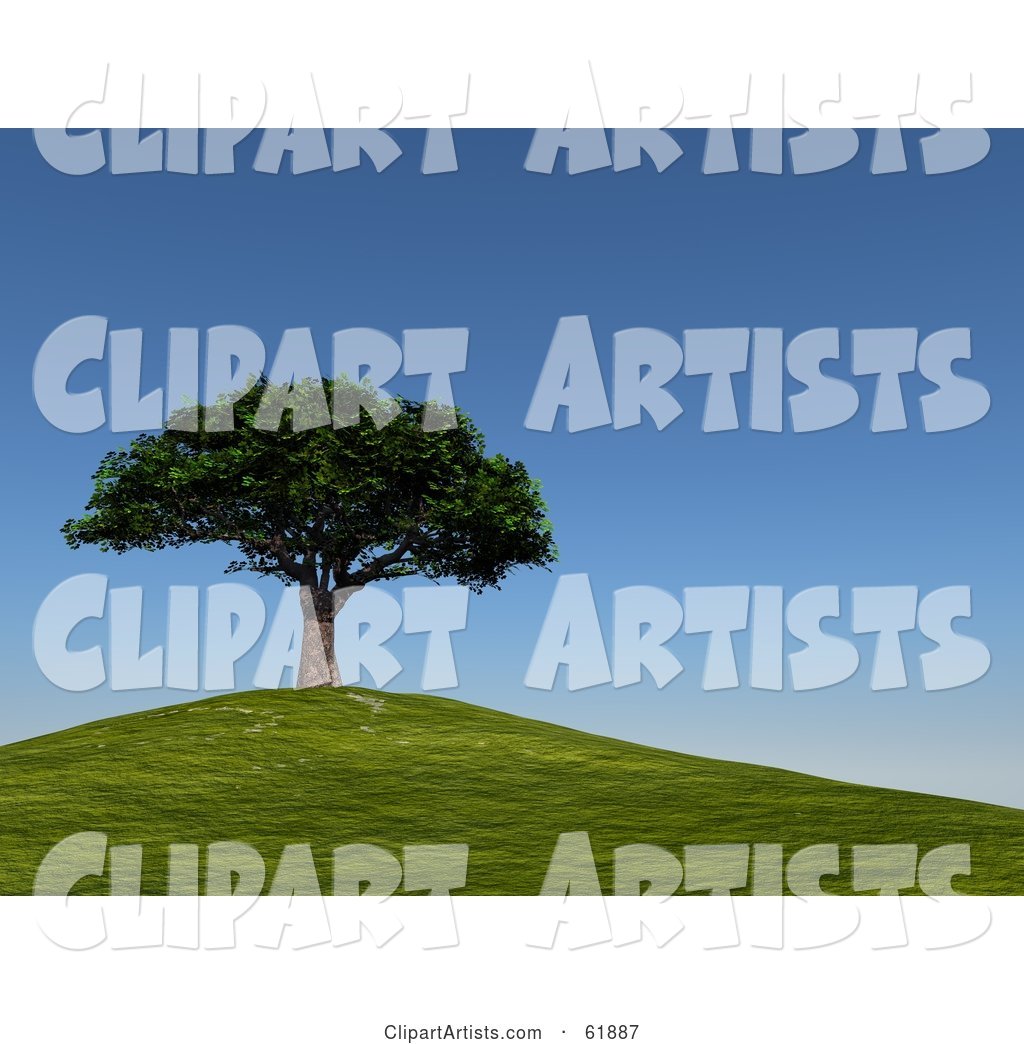 Mature Cherry Tree on Top of a Green Hill Under a Blue Sky