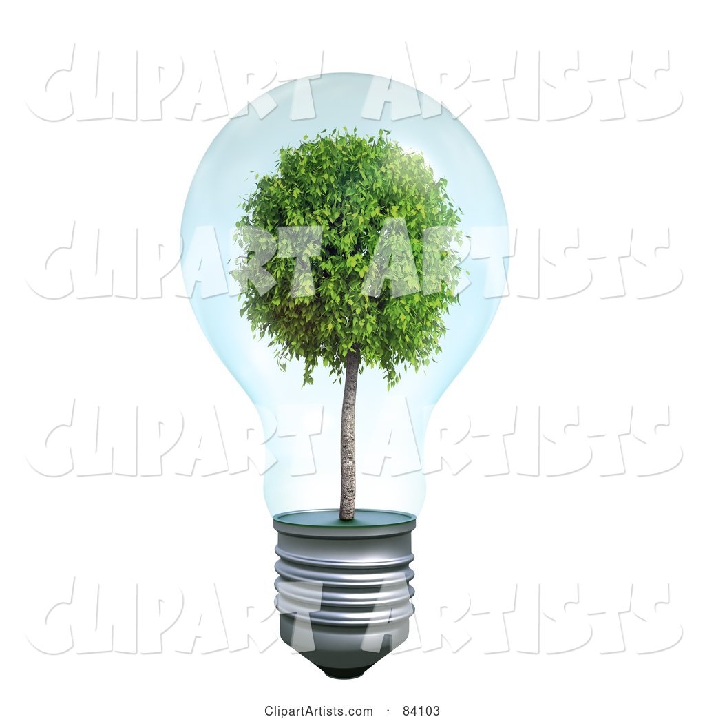 Mature Tree Growing Inside of a Transparent Light Bulb