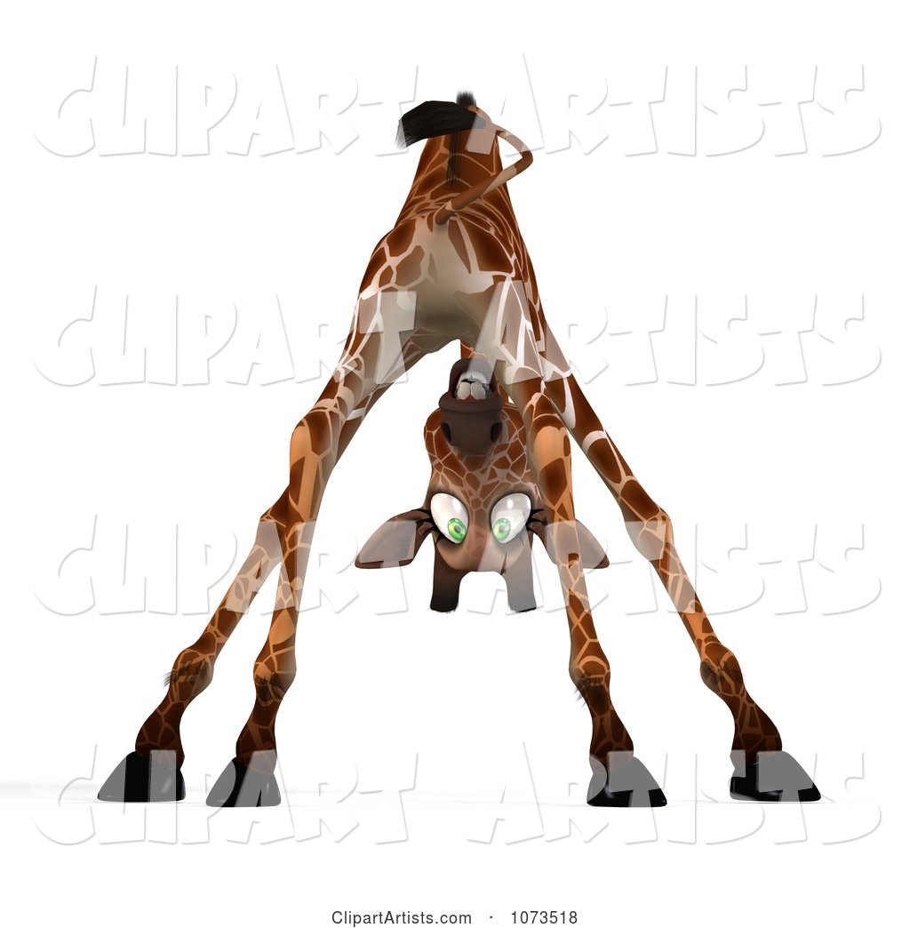 Scared African Giraffe 5