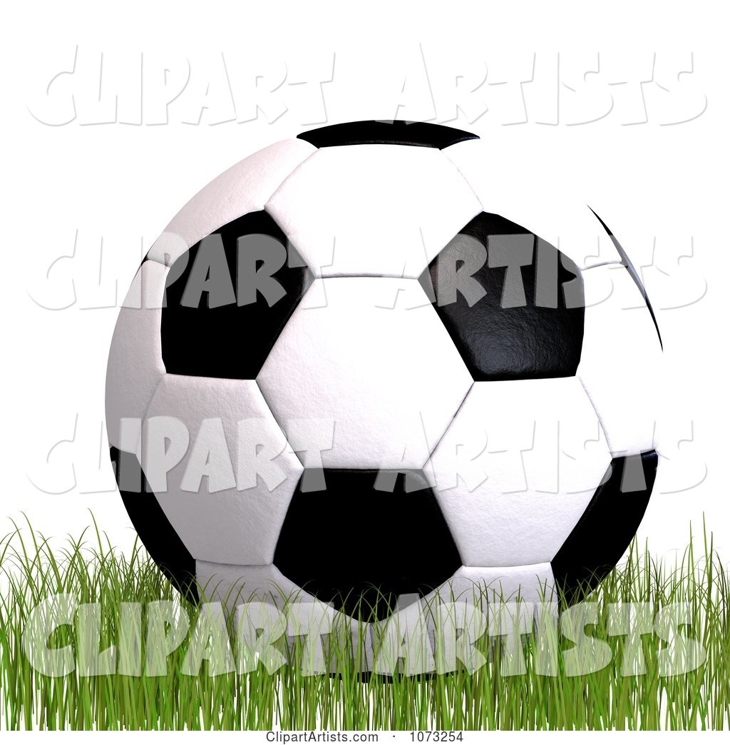 Soccer Ball on Grass 1