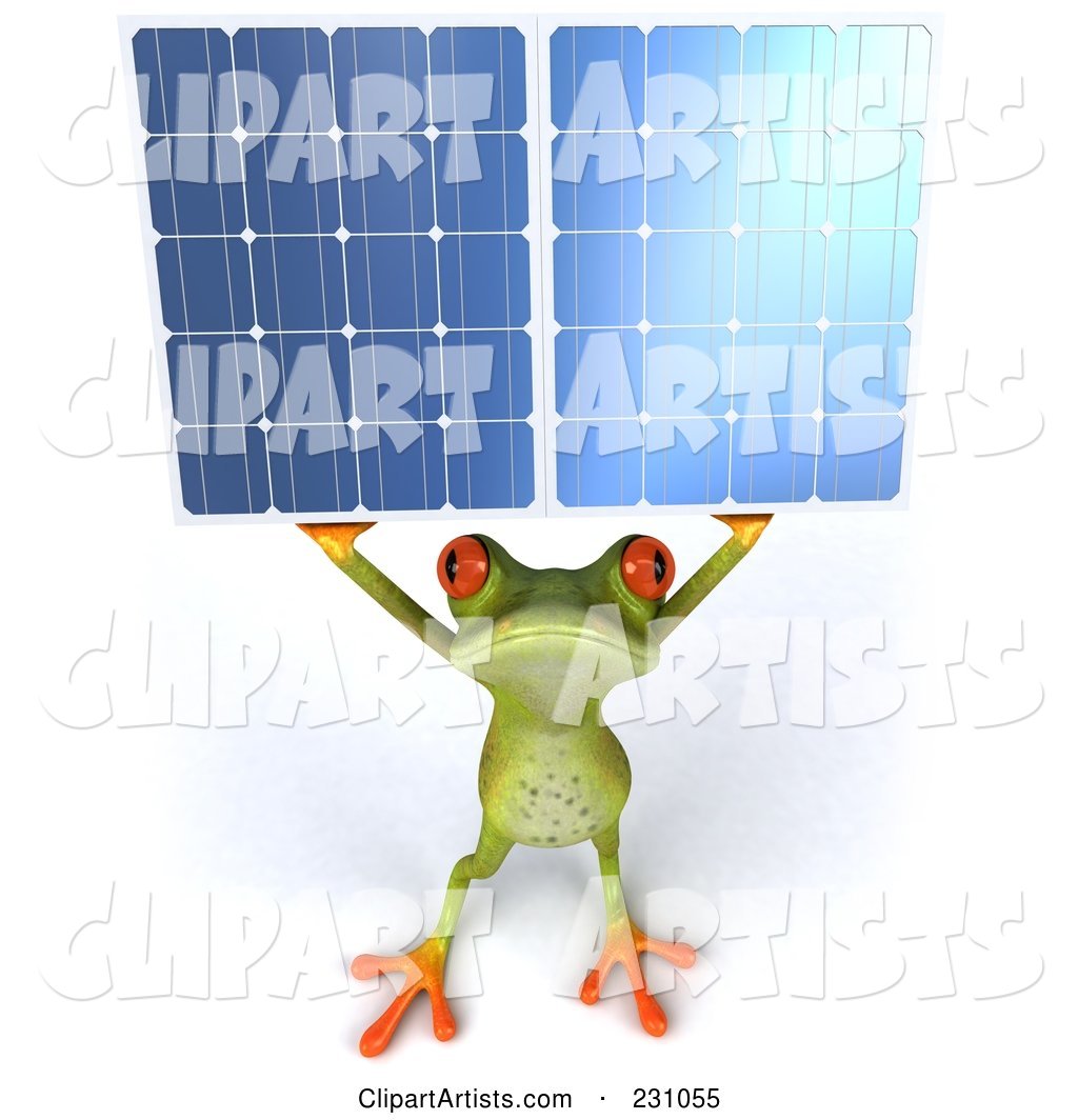 Springer Frog Holding a Solar Panel - 2