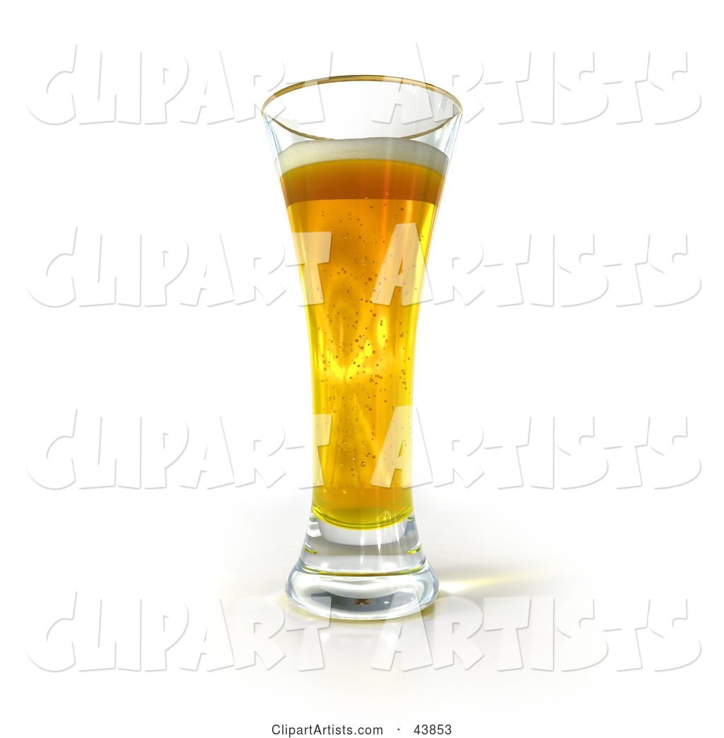 Tall Golden Glass of Beer
