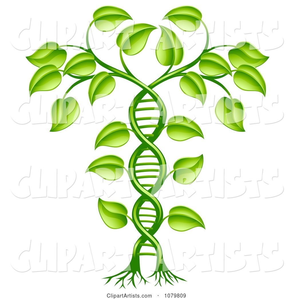 Green DNA Crop Gene Modification Helix Plant