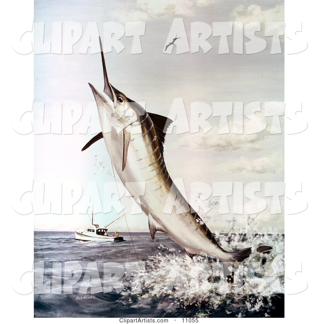 A Striped Marlin Fish Jumping to Bite a Fishing Line