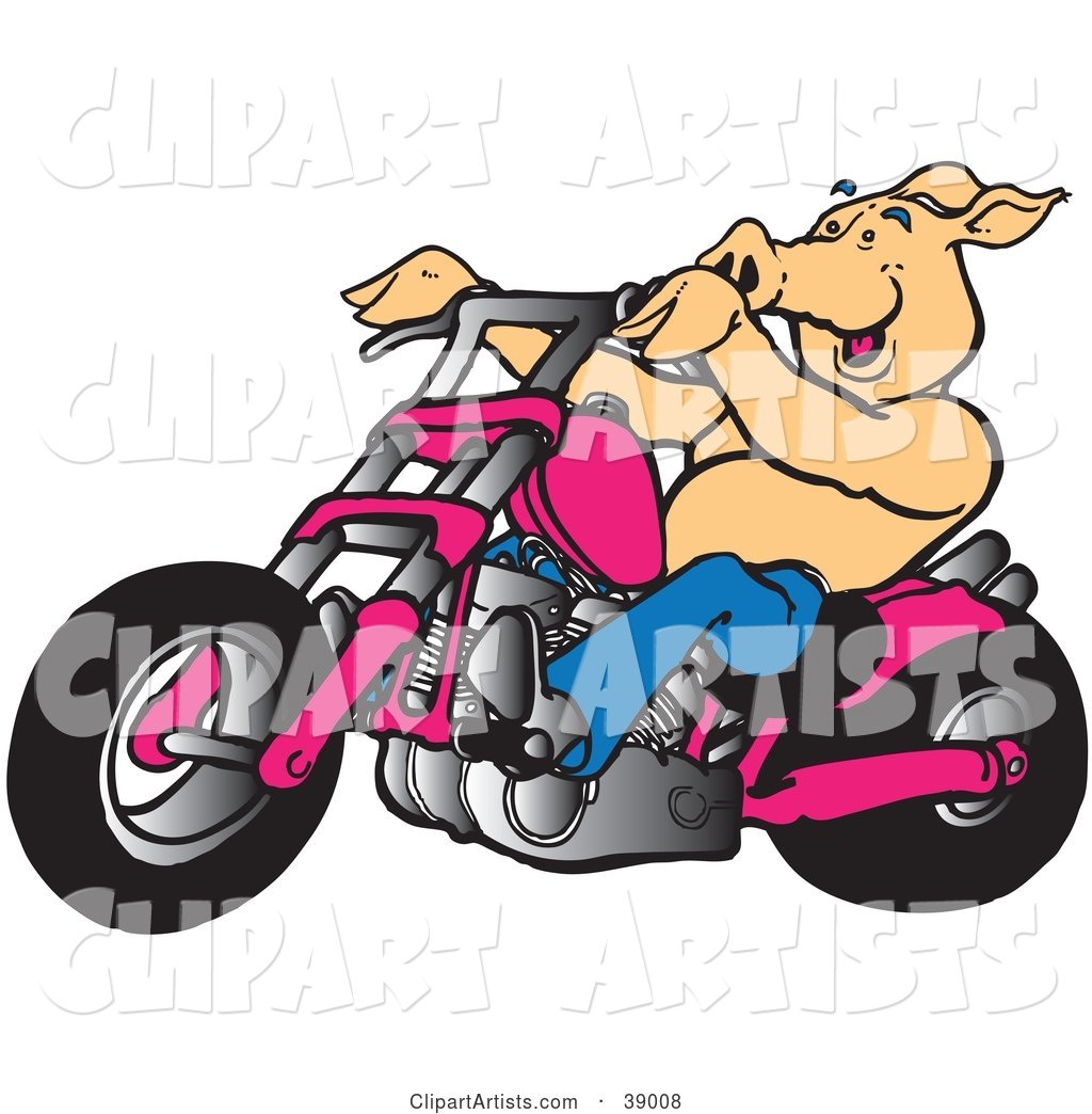Biker Pig Riding a Chopper Motorcycle