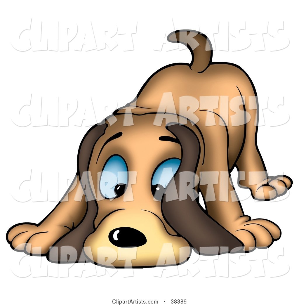 Blue Eyed Hound Dog Sniffing the Ground