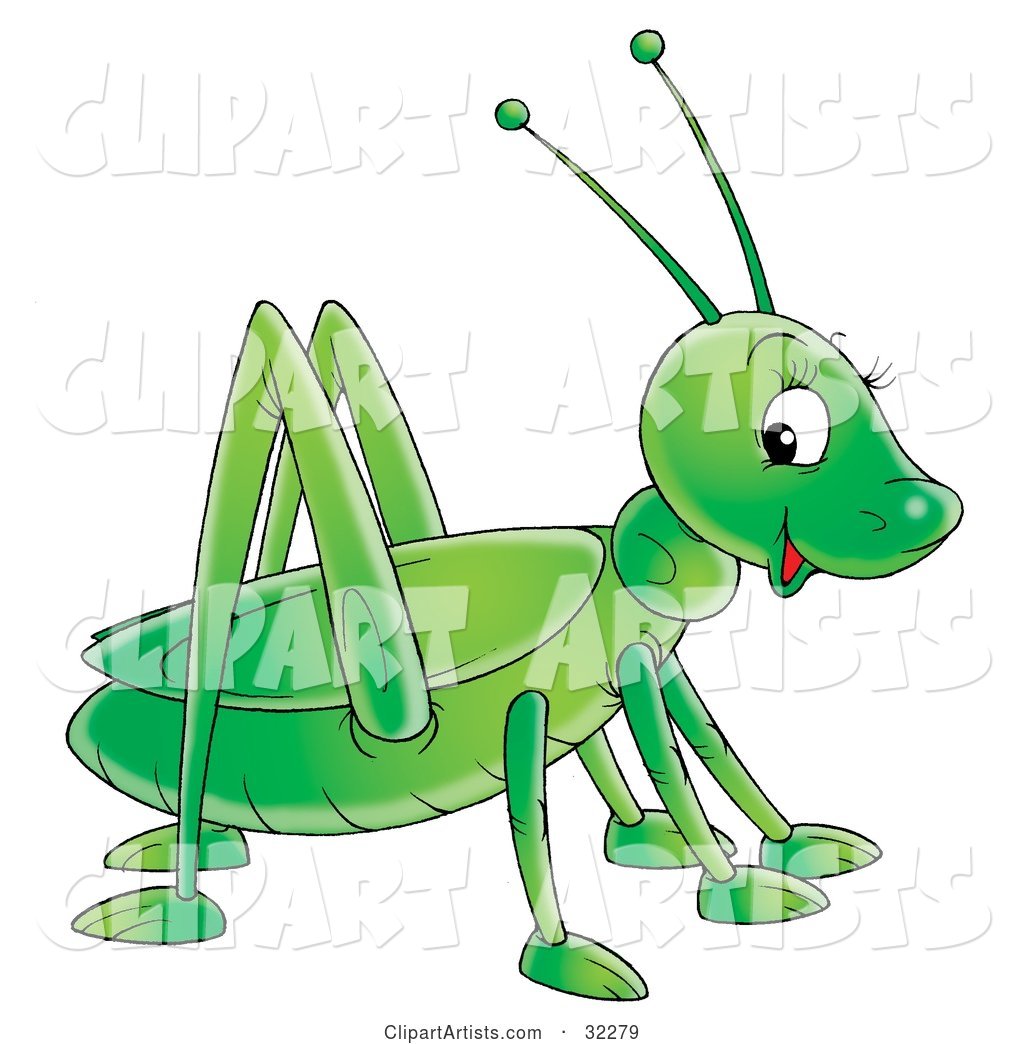 Cute and Friendly Green Grasshopper Glancing at the Viewer