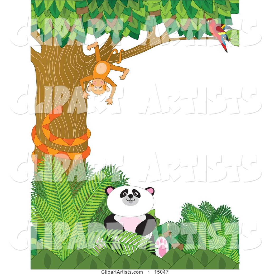 Cute Baby Panda Sitting in Green Foliage While an Orange Snake Coils Himself Around a Tree in Which a Scarlet Macaw Parrot Perches and Watches a Silly Monkey That Is Hanging Upside down in a Zoo