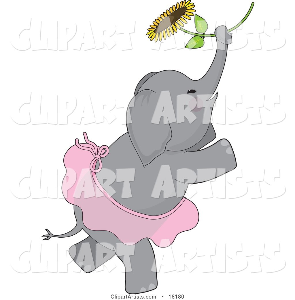 Cute Elephant with Rosey Cheeks, Wearing a Ballerina Tutu While Dancing Ballet with a Sunflower