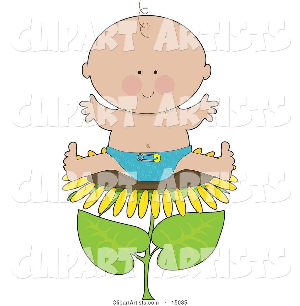 Cute Little Caucasian Baby Boy in a Blue Cloth Diaper, Sitting on Top of the Head of a Sunflower